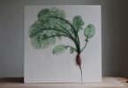 Рейчел Дейн: новые ботанические скульптуры цветов и овощей