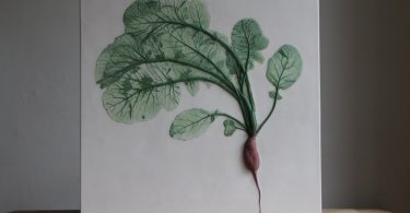 Рейчел Дейн: новые ботанические скульптуры цветов и овощей