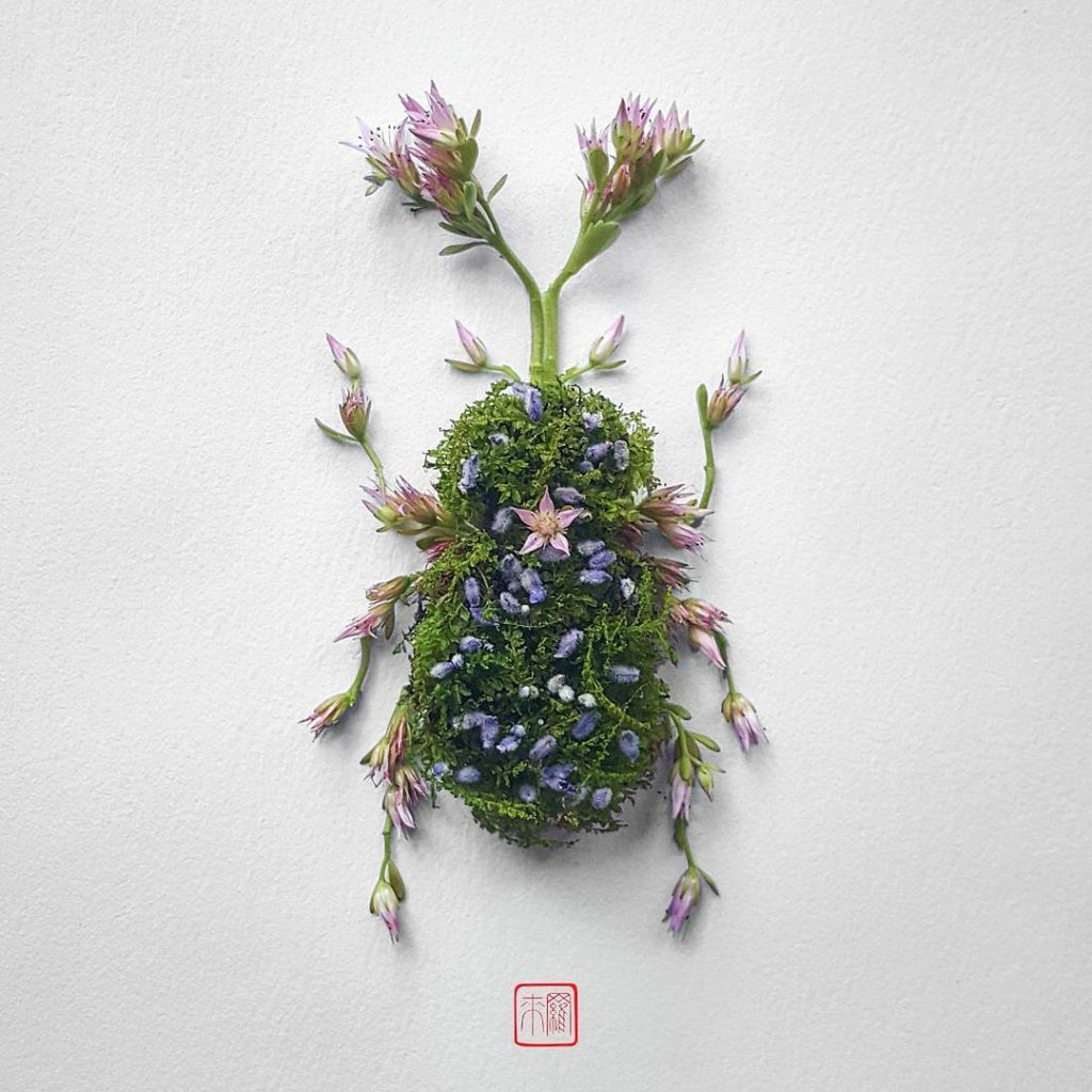 Natura Insects: цветочные композиции с изображением насекомых от Раку Инуэ