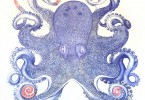 Синий осьминог, нарисованный Реем Сисиным шариковой ручкой
