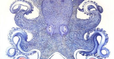 Синий осьминог, нарисованный Реем Сисиным шариковой ручкой