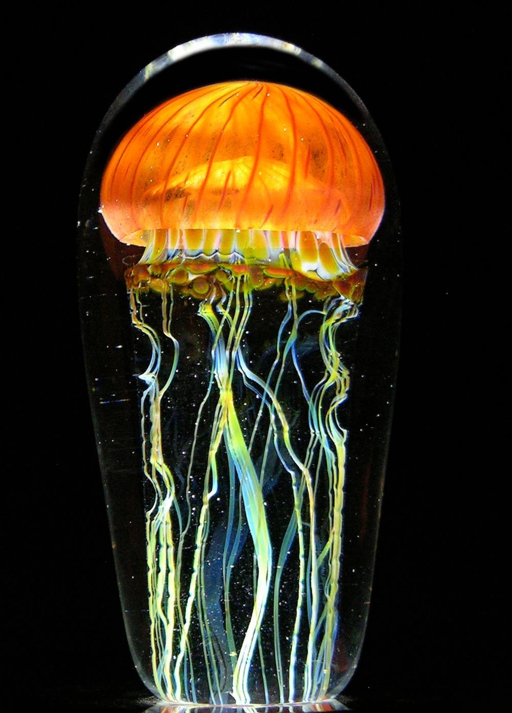 Стеклянные медузы в капсулах-вазах от Ричарда Сатава выглядят очень реалистично