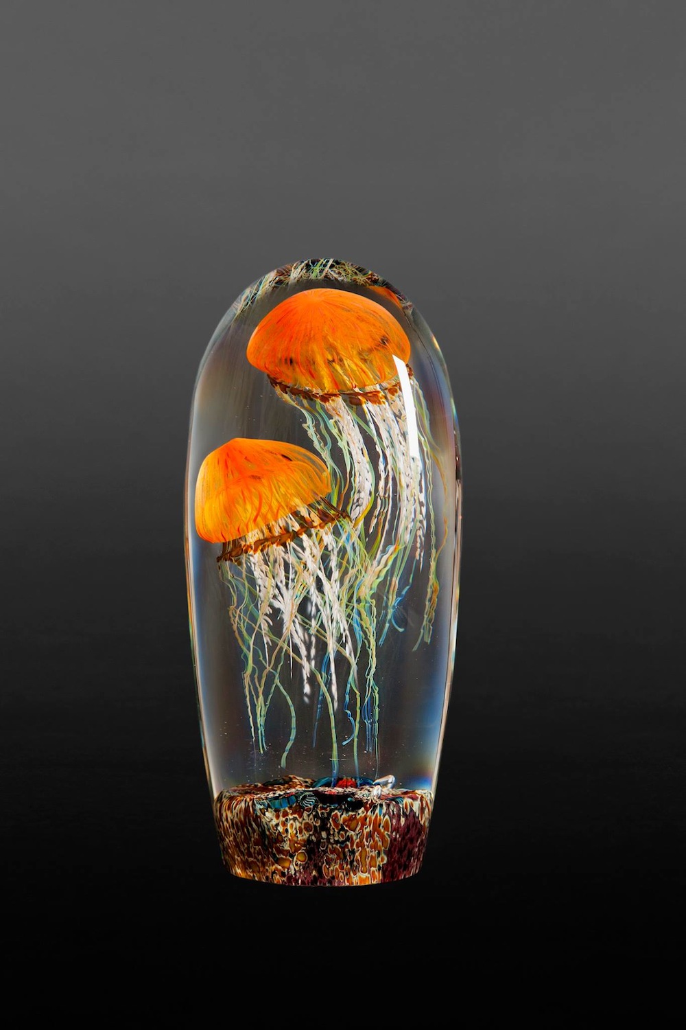 Стеклянные медузы в капсулах-вазах от Ричарда Сатава выглядят очень реалистично