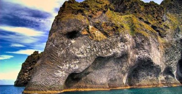 Слон с исландского острова Хеймаэй