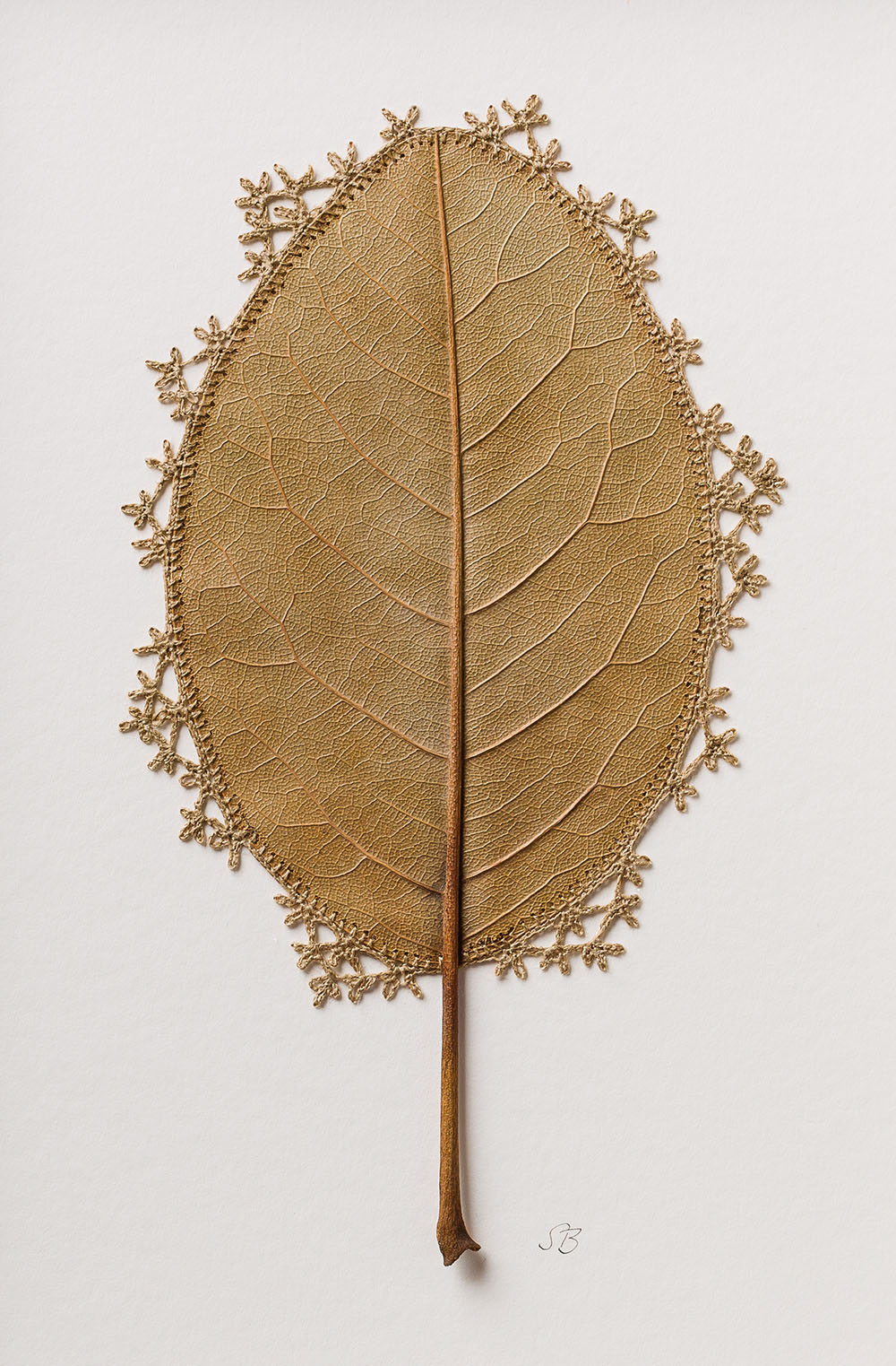 Сусанна Бауэр: ажурное вязание как драгоценная инкрустация на сухих листьях