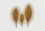 Связи: ажурные вышивки по канве из сухих листьев от Сусанны Бауэр