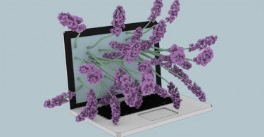 Анимации от Саши Кац: растения и гаджеты в органическом взаимодействии