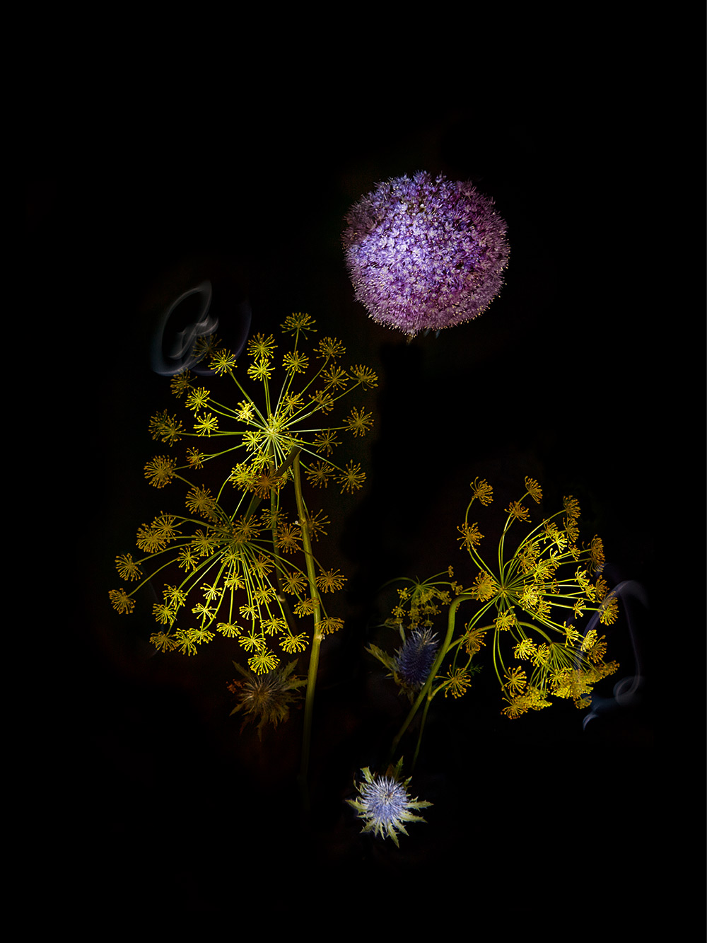 Сара Илленбергер: фейерверки из букетов цветов в фотопроекте Flowerworks