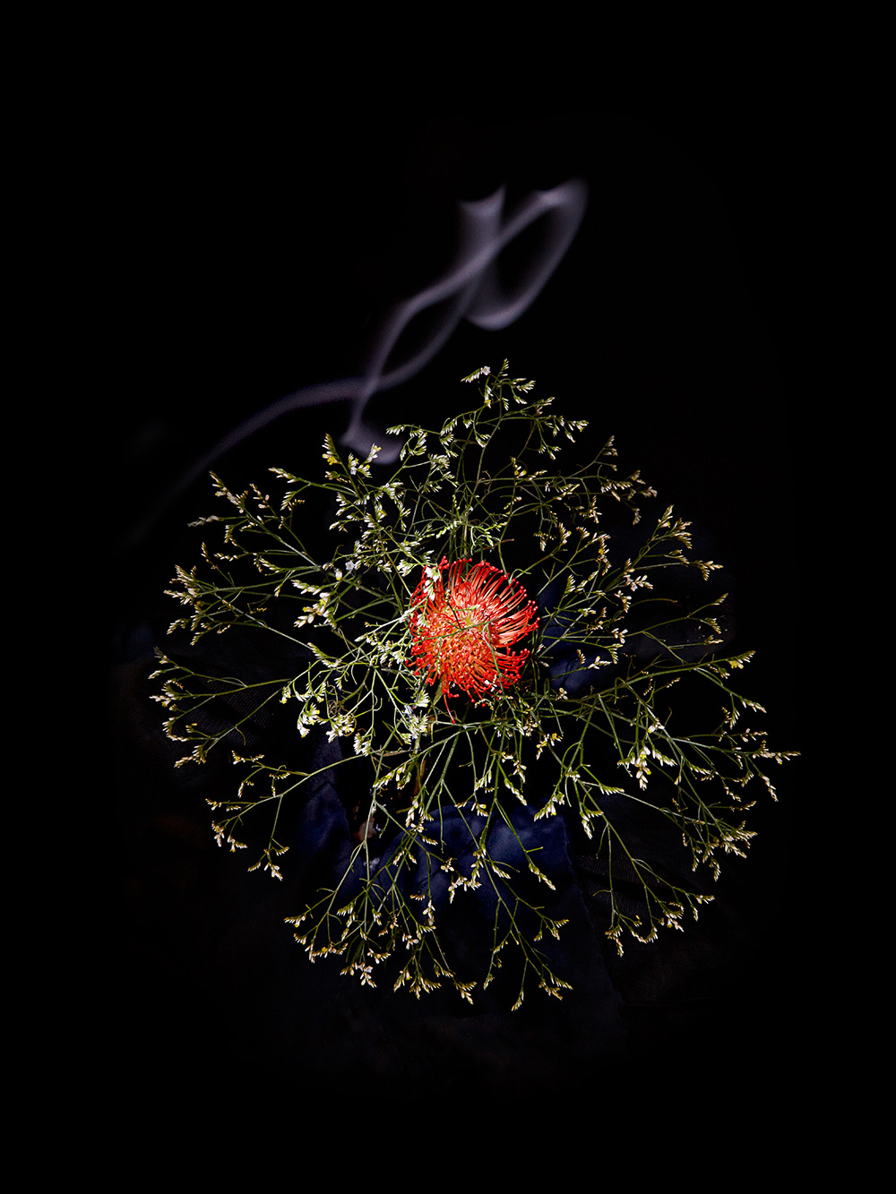 Сара Илленбергер: фейерверки из букетов цветов в фотопроекте Flowerworks