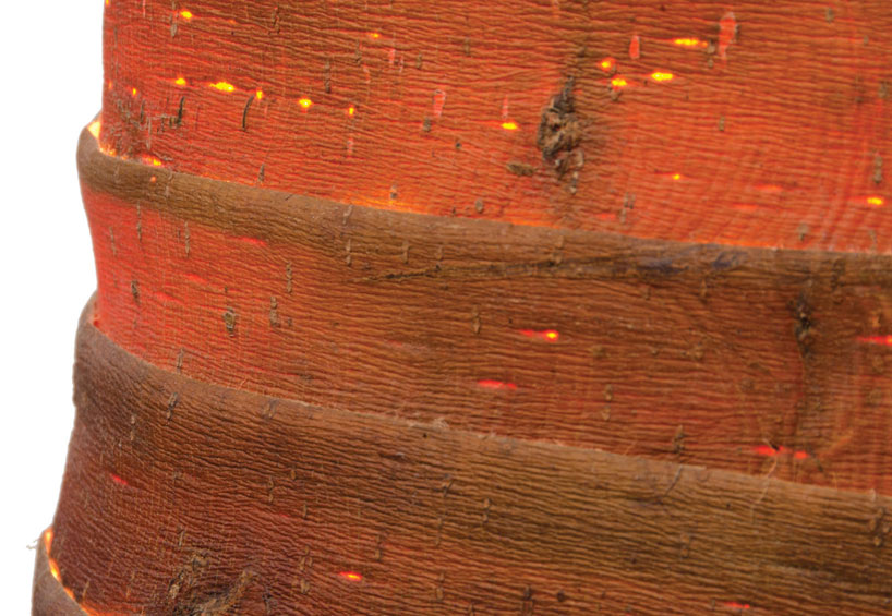 Абажур торшера Stripped из коры ветки дерева