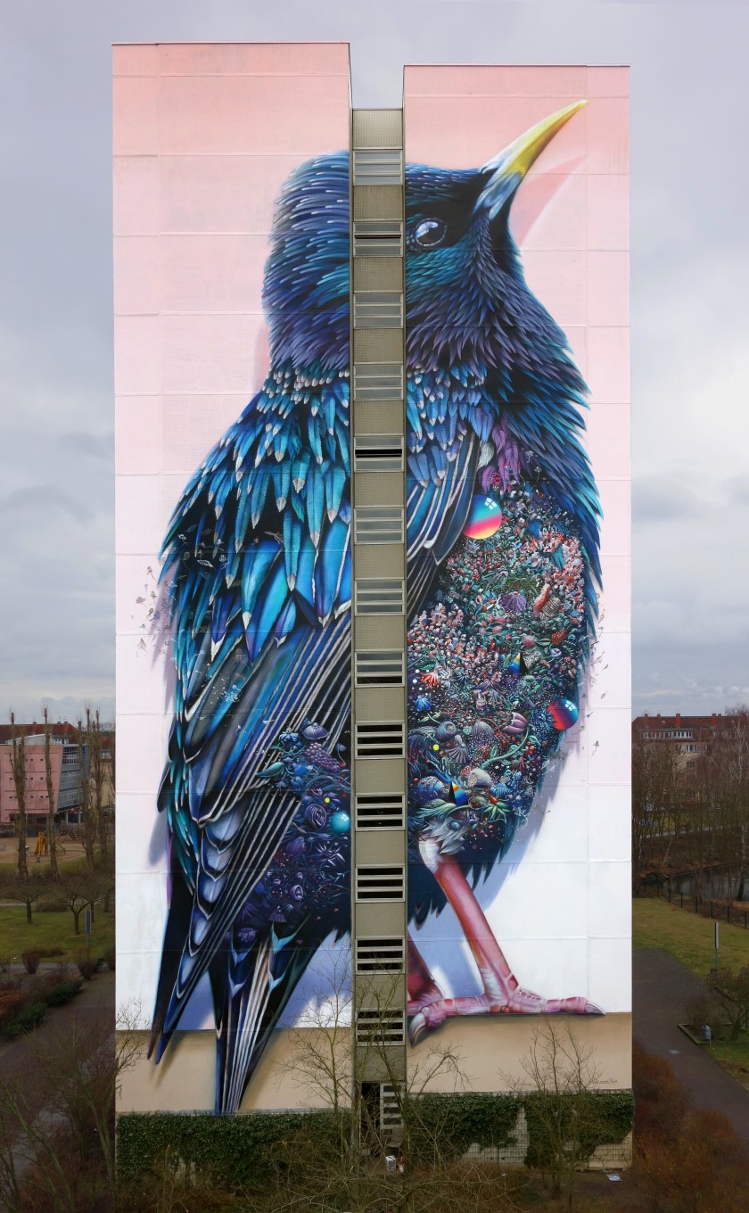 Скворец: масштабная фреска на здании в Берлинском районе Тегель