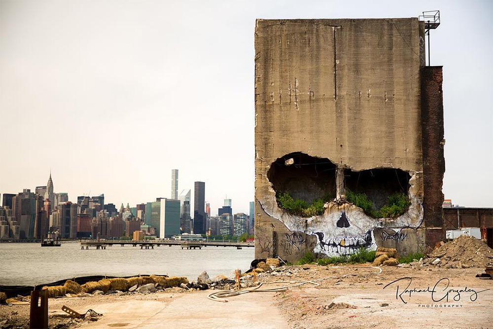 Граффити черепа от Suitswon: масштабная фреска на руинах здания в Гринпойнте, Нью-Йорк