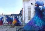 Уличный художник Стефана Телен: масштабные фрески с изображением голубей
