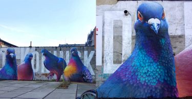 Уличный художник Стефана Телен: масштабные фрески с изображением голубей