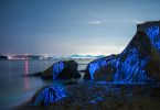 Морские светлячки: биолюминесцентные узоры на мистических фотографиях от студии Tdub Photo