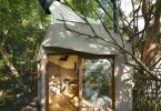 Чайная комната в виде птичьего гнезда на 300-летнем камфорном дереве