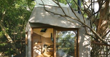 Чайная комната в виде птичьего гнезда на 300-летнем камфорном дереве