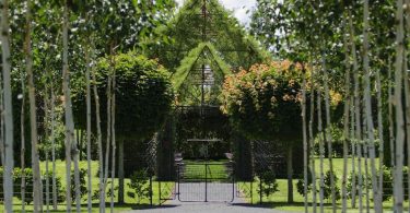 Зелёная церковь из живых деревьев в проекте Барри Кокса