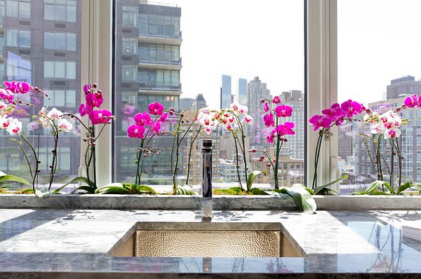 Фиолетовые и белые орхидеи на кухне