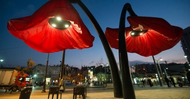 Интерактивные красные маки на площади Валеро в Иерусалиме