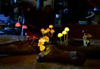 Юкио Такано: оригинальные светильники из эпоксидной смолы