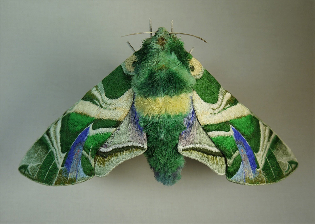 Юми Окита: очаровательные вышитые насекомые из текстиля