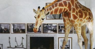 Жираф в интерьере или «дикие» животные в вашем доме