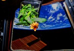 Цинния из космической оранжереи с фоновым видом на Землю