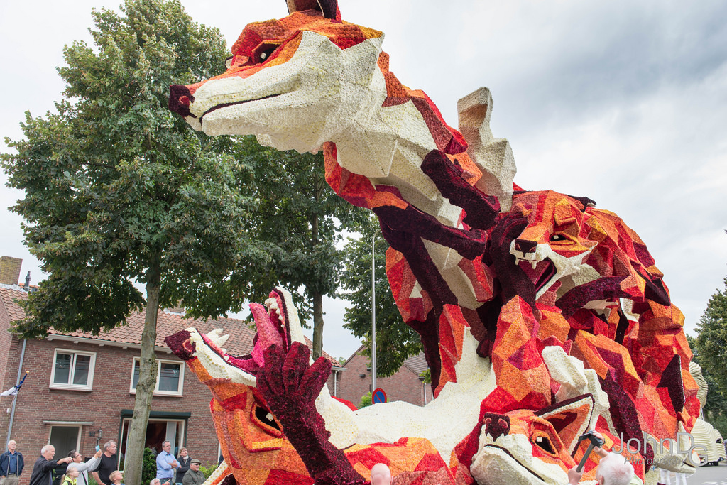 Парад цветов Corso Zundert, 2016: состязания флористов и культурное наследие аграриев Нидерландов